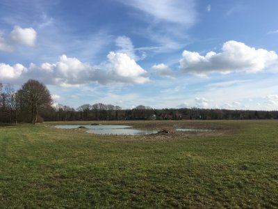MS-Mariendorf, Kompesationsmaßnahmen B 481n